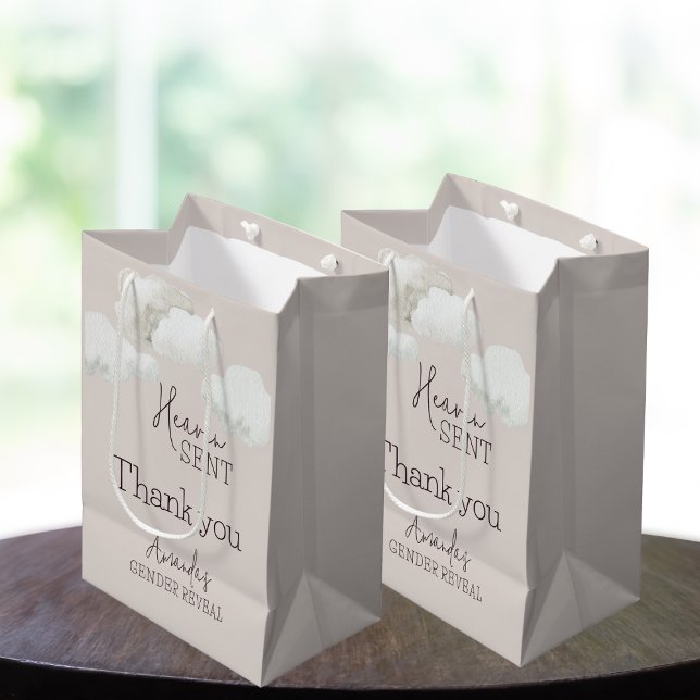 Sac Cadeau Moyen Dreamy Beige Neutral Ciel Envoyé Genre Révélation (Créateur téléchargé)