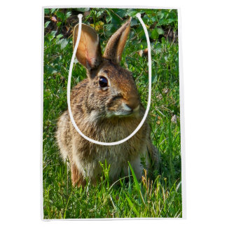 Sac Cadeau Moyen Eastern cottontail rabbit
