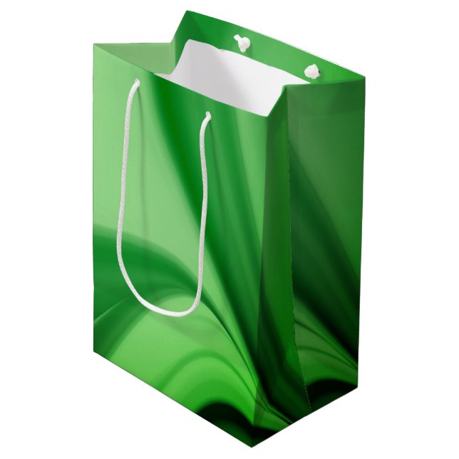 Sac Cadeau Moyen Émeraude À Deux Tons (Devant Angle)