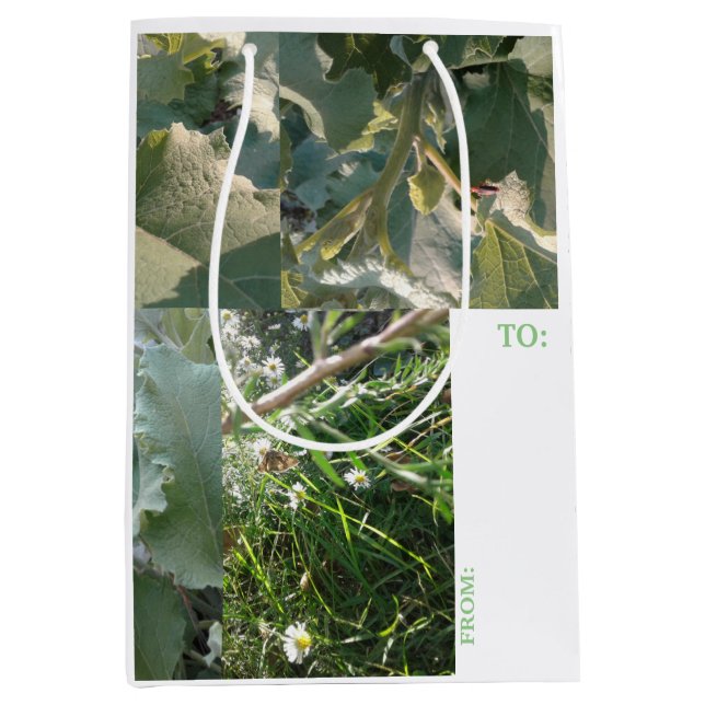 SAC CADEAU MOYEN / ÉTIQUETTE / NATURE / #MMETROPOL (Devant)