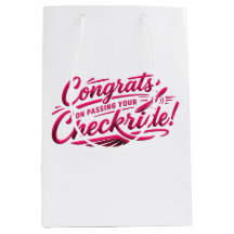 Félicitations pour avoir réussi votre checkride !