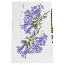 Flores do Brasil jacaranda