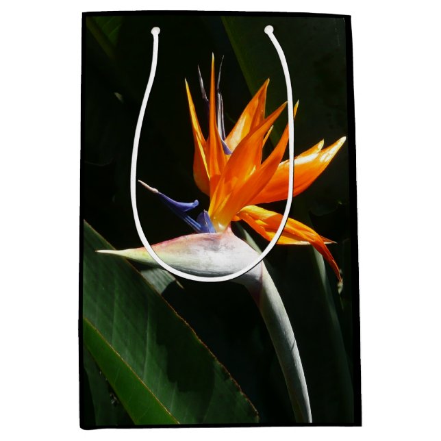 Sac Cadeau Moyen Flower tropical orange paradise (Devant)