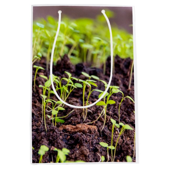 Sac Cadeau Moyen Herbe à germes (Devant)