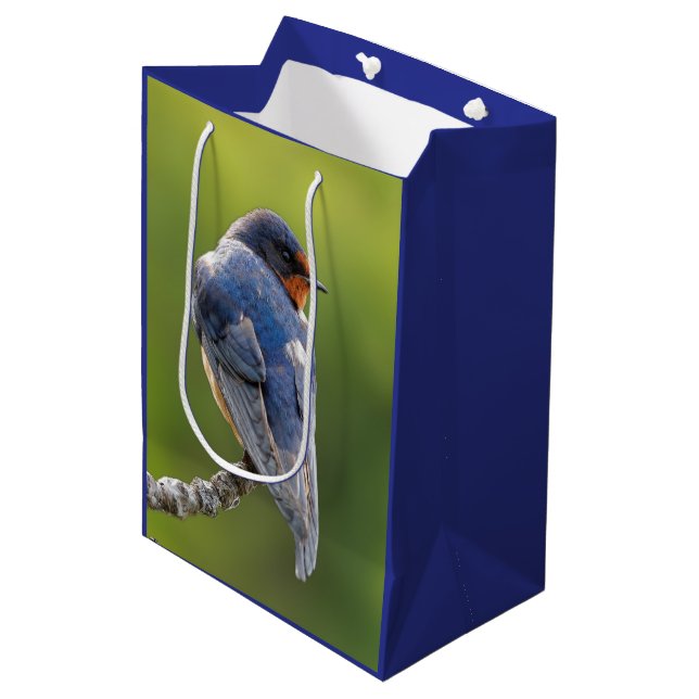 Sac Cadeau Moyen Hirondelle de grange sur une branche (Devant Angle)