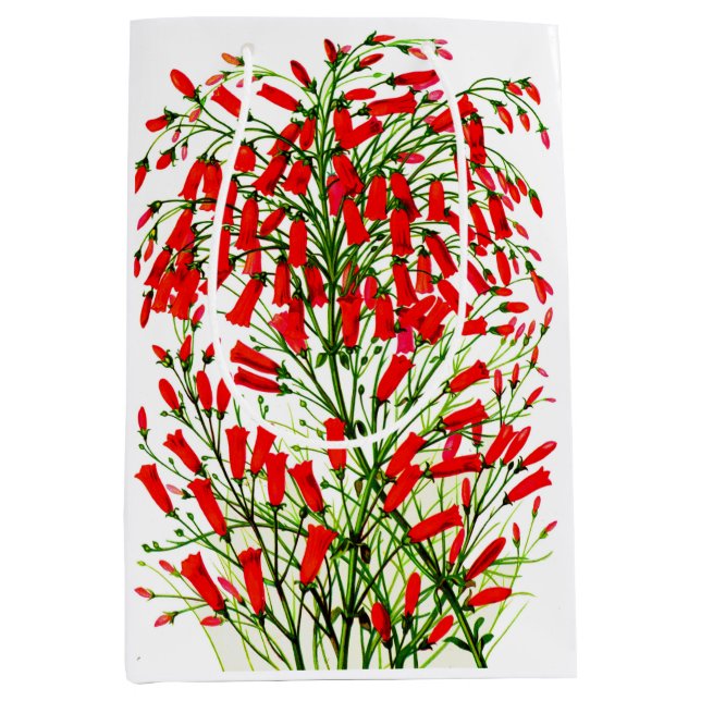 Sac Cadeau Moyen impression plante de pisteur (Devant)