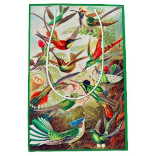 Sac Cadeau Moyen Imprimerie de colibris 1904