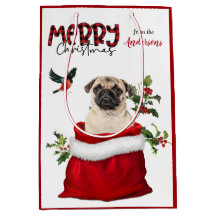Joli Carlin chien Noël