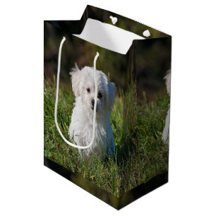 Sac Cadeau Moyen Joli chiot blanc