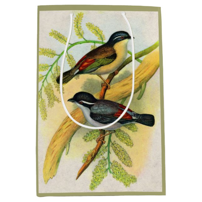 Sac Cadeau Moyen joli imprimé d'oiseaux (Devant)