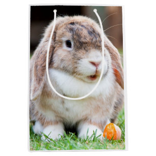 Sac Cadeau Moyen lapin à oreilles de lop mignon