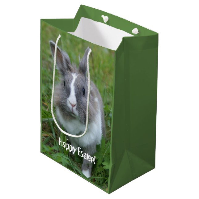 Sac Cadeau Moyen Lapin lapin (Devant Angle)
