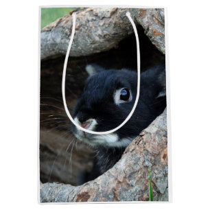Sac Cadeau Moyen Lapin noir en creux d'un arbre