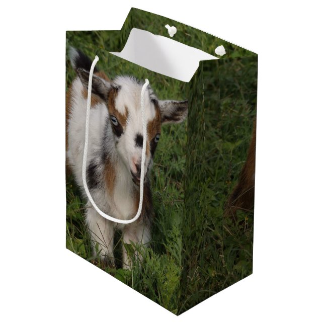 Sac Cadeau Moyen Le gamin nain nigérian flashy (Devant Angle)