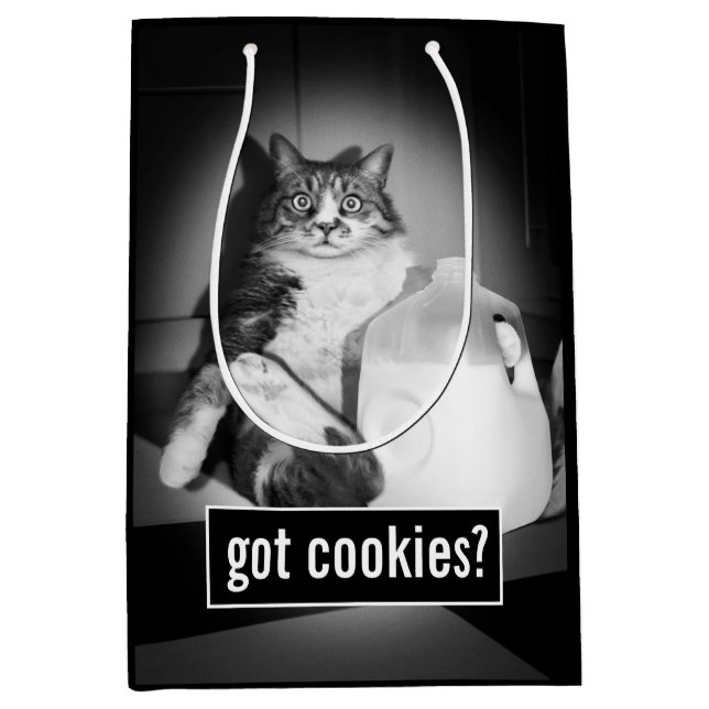 Sac Cadeau Moyen Le Lait De Chat De Juge (Devant)