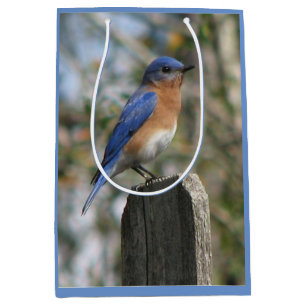 Sac Cadeau Moyen Mâle intelligent d'oiseau bleu
