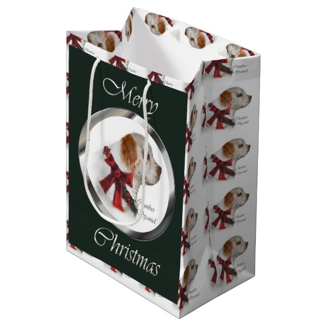 Sac Cadeau Moyen Noel espagnol de plomberie (Devant Angle)