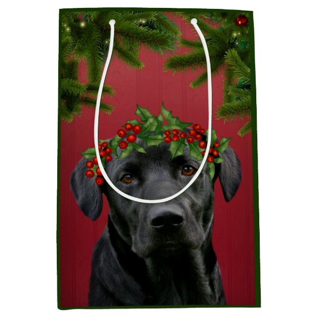 Sac Cadeau Moyen Noël noir de laboratoire (Devant)