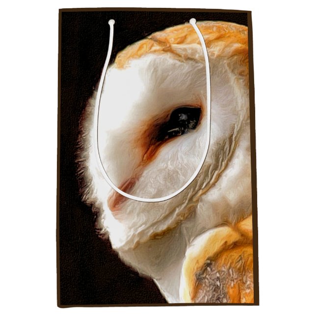 SAC CADEAU MOYEN OWLS (Devant)