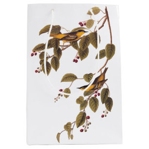 Sac Cadeau Moyen Paruline carbonée Audubon Oiseau