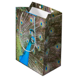 Sac Cadeau Moyen Peacock avec plumes éteintes - Photo de la faune
