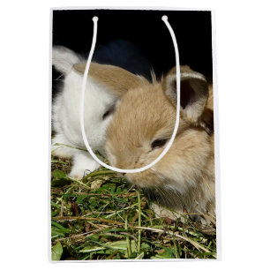 Sac Cadeau Moyen Petit lapin moelleux