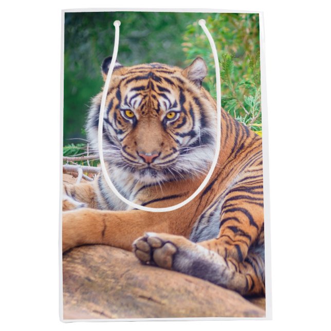 Sac Cadeau Moyen Photo de tigre étonnante (Devant)