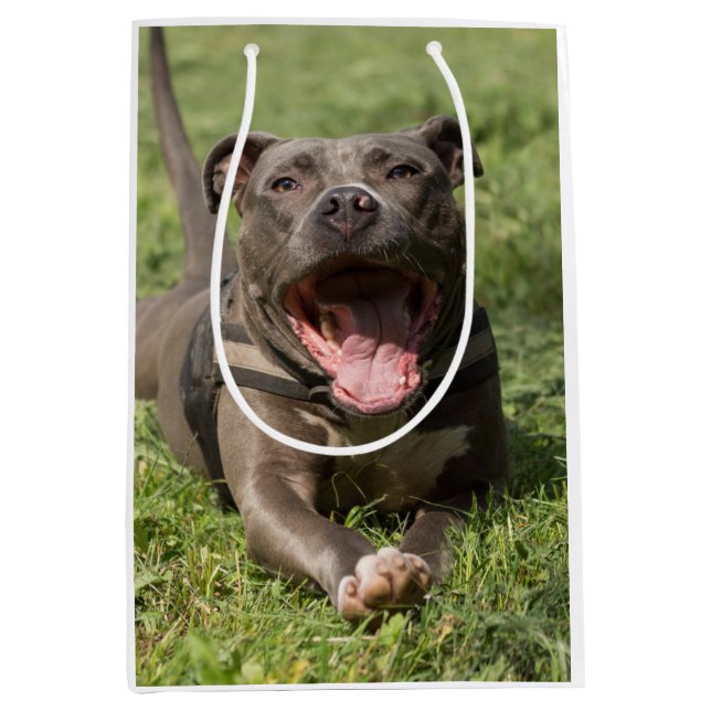 Sac Cadeau Moyen Pitbull dans l'herbe| Photo modifiable (Devant)