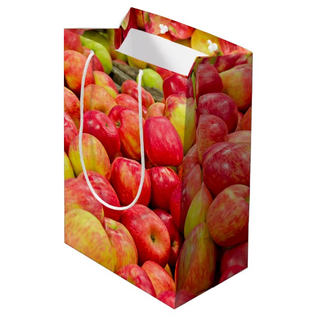 Sac Cadeau Moyen Pommes du Michigan (Dos Angle)