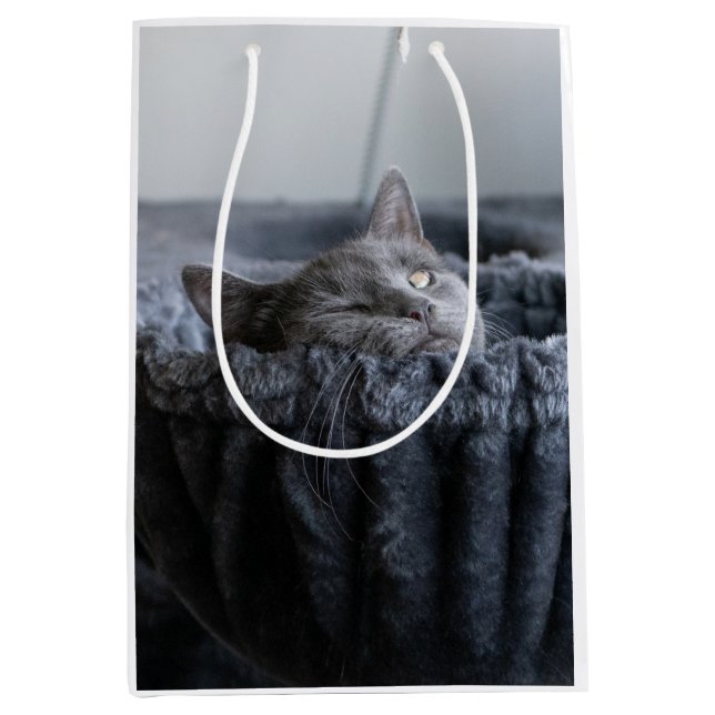 Sac Cadeau Moyen Pupper Socks (Devant)