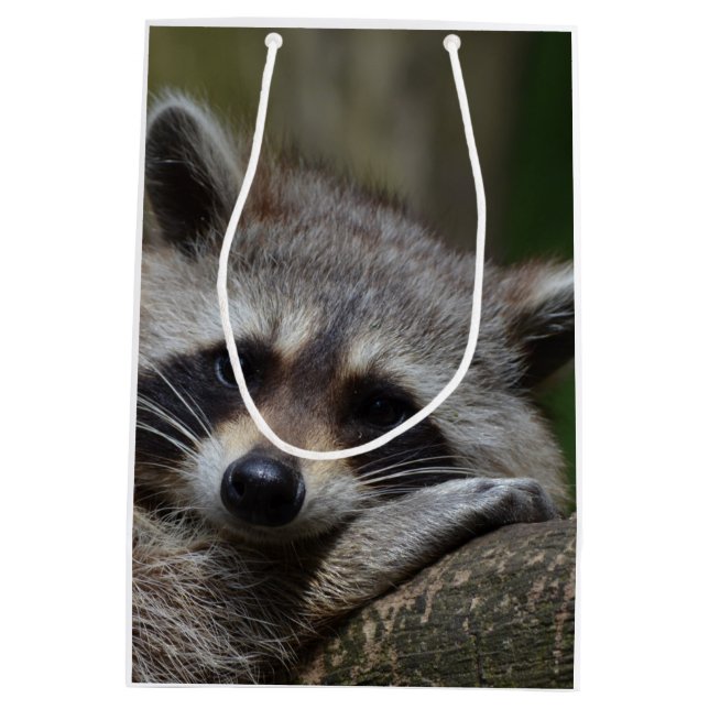 Sac Cadeau Moyen Raccoon (Dos)