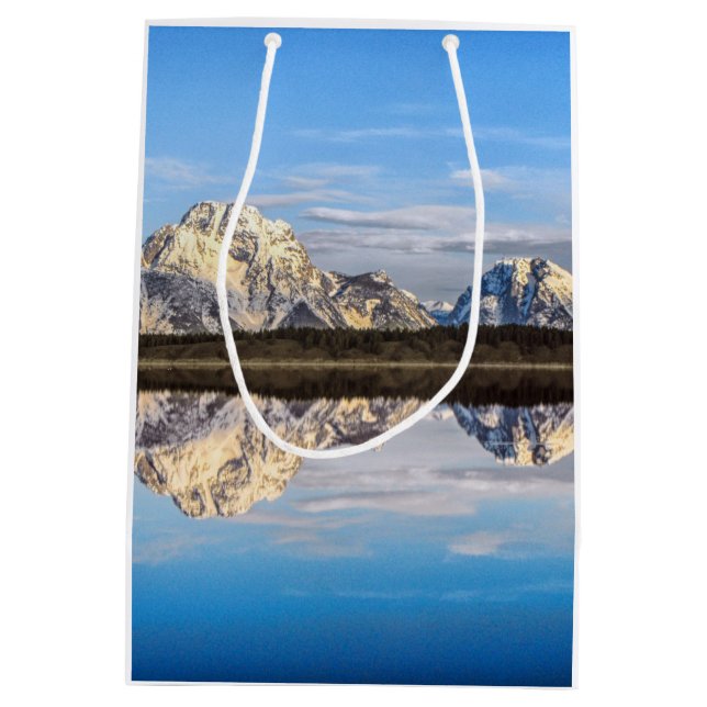 Sac Cadeau Moyen Réflexion de l'Alaska (Dos)