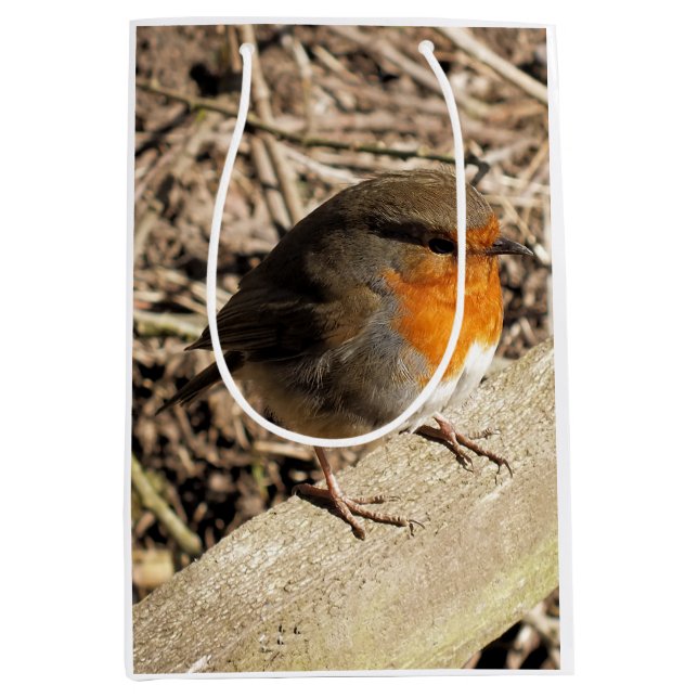 SAC CADEAU MOYEN ROBIN (Devant)