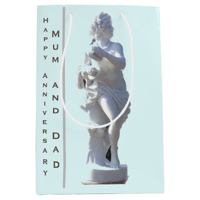 Sac Cadeau Moyen Sculpture du 27e anniversaire modifiable (Devant)