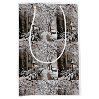 Sac Cadeau Moyen Snow Magic sur le 23ème St NYC