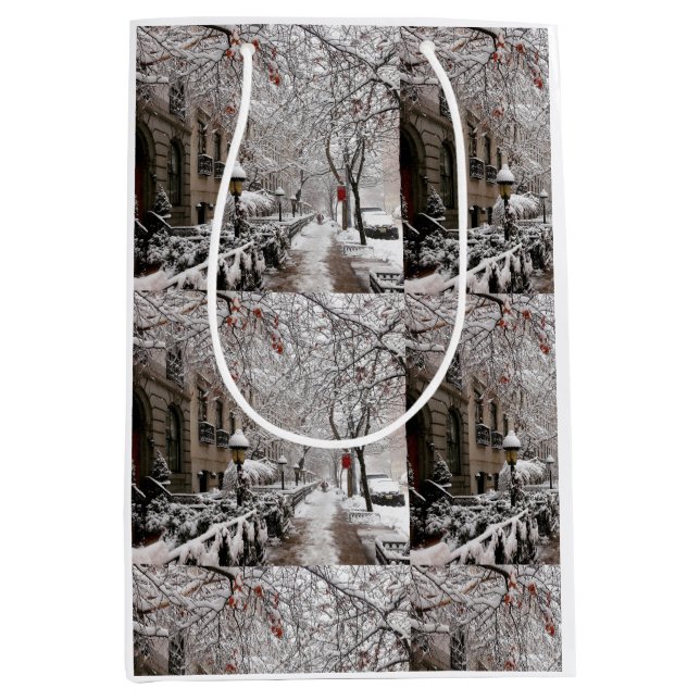 Sac Cadeau Moyen Snow Magic sur le 23ème St NYC (Devant)