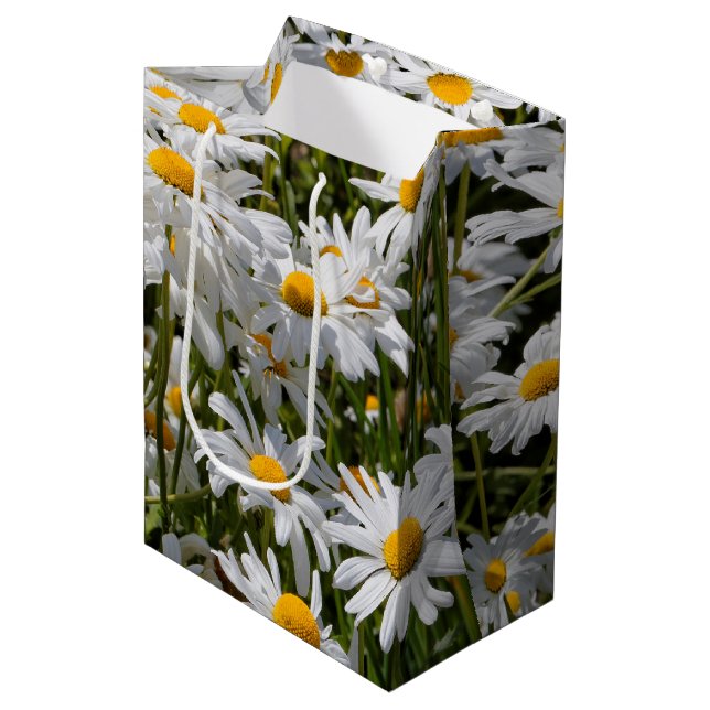 Sac Cadeau Moyen Un champ de marguerites oculaires (Devant Angle)