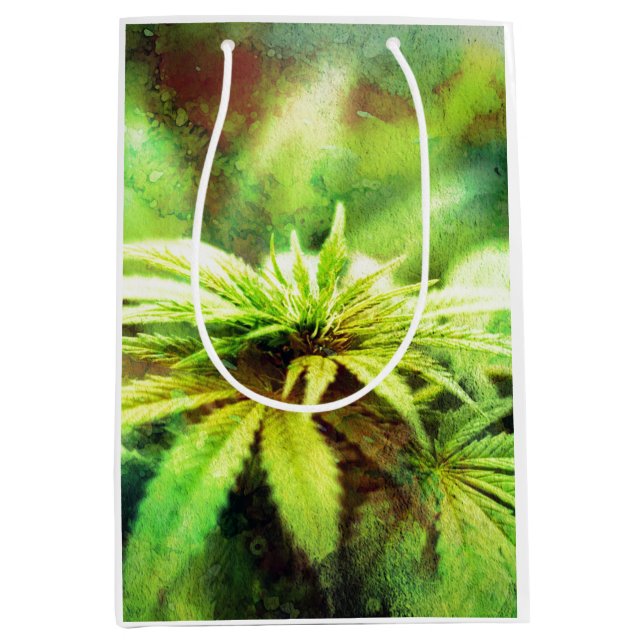 Sac Cadeau Moyen Vert (Devant)