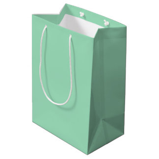 Sac Cadeau Moyen Vert saumon moderne uni