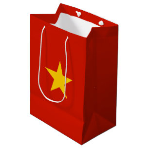Sac Cadeau Moyen Viêtnam