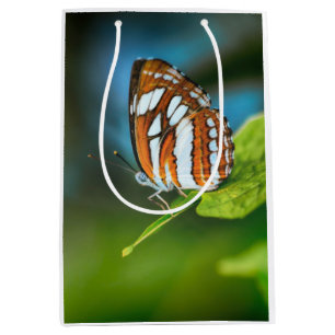 Sac Cadeau Moyen White and Orange Striped Butterfly
