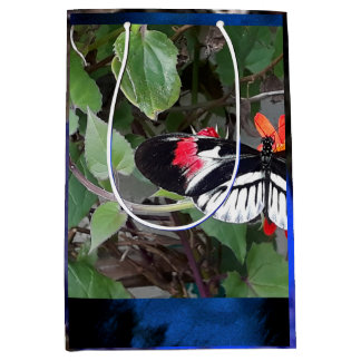 Sac Cadeau Moyen Zebra tail butterfly