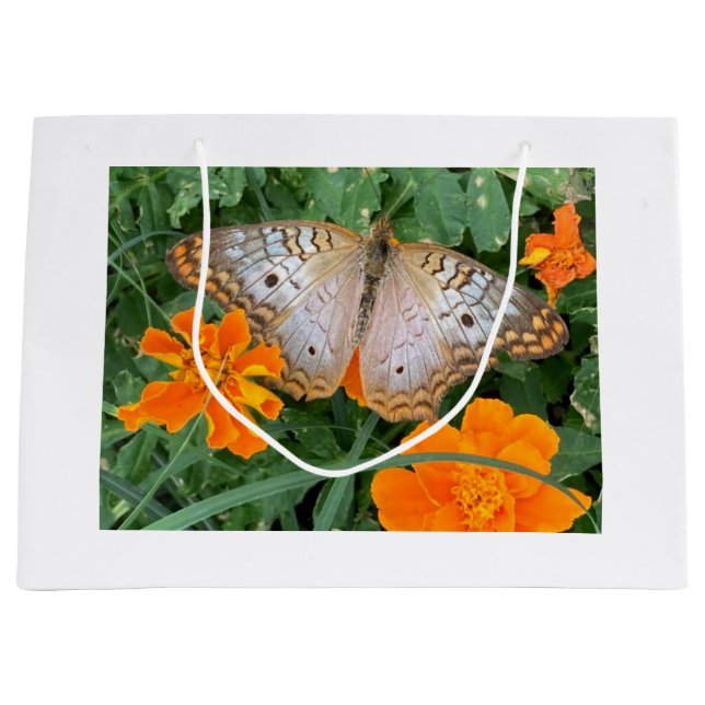 sac cadeau papillon (Devant)