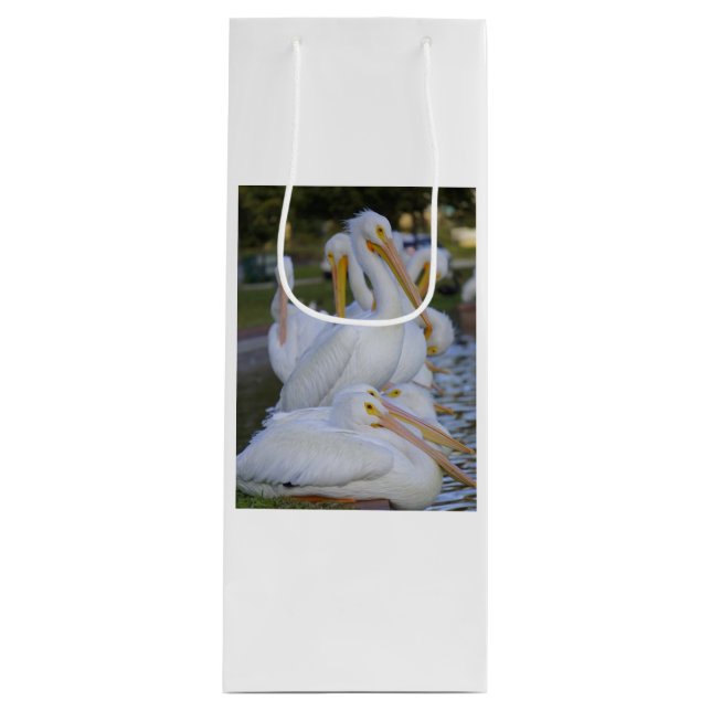 Sac cadeau Pélican Pile Vin (Devant)