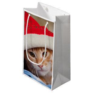 Sac Cadeau Petit chaton dans le casquette rouge de Noël