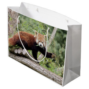 Sac cadeau Photo panda rouge, animaux 0271.