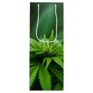 Sac Cadeau Pour Bouteille Beau Plante de mauvaises herbes