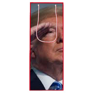 Sac Cadeau Pour Bouteille Président Trump - Trump 2020