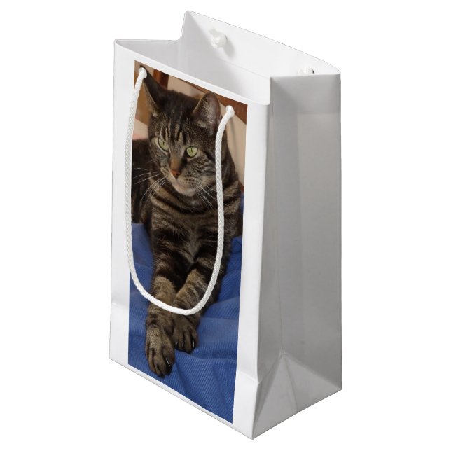 Sac cadeau Regal Dave (Devant Angle)