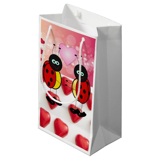 Sac Cadeau Saint-Valentin Coccinelle (Devant Angle)